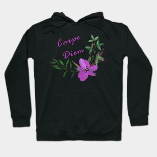 Carpe Diem 1 Hoodie